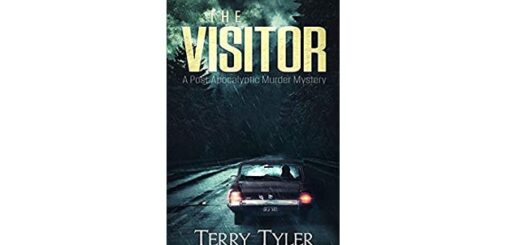 Feature Image - The Visitor by Terry Tyler