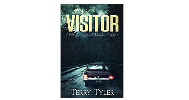 Feature Image - The Visitor by Terry Tyler