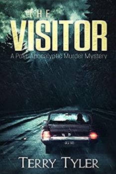 The Visitor by Terry Tyler