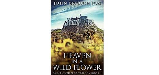 Feature Image - Heaven in a Wildflower by John Broughton