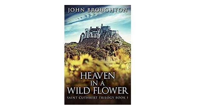 Feature Image - Heaven in a Wildflower by John Broughton