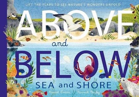 Above and Below Sea and Shore by Harriet Evans