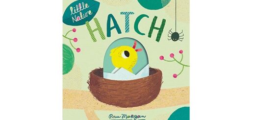 Feature Image - Hatch by Pau Morgan