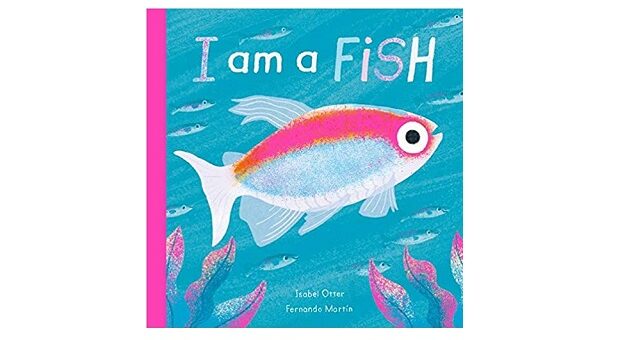 Feature Image - I am a Fish by Isabel Otter