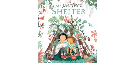 Feature Image - The Perfect Shelter by Clare Helen Welsh