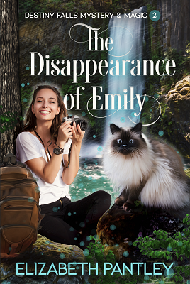 The Disappearance of Emily by Elizabeth Pantley