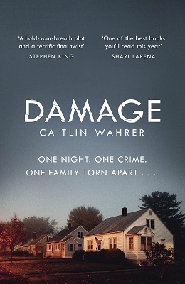 Damage by Caitlin Wahrer