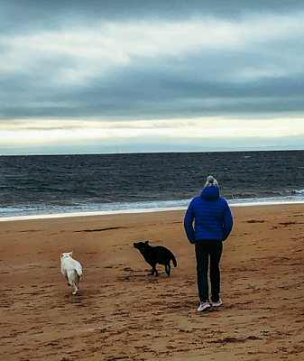 Dan Scottow dogs