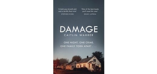 Feature image - Damage by Caitlin Wahrer