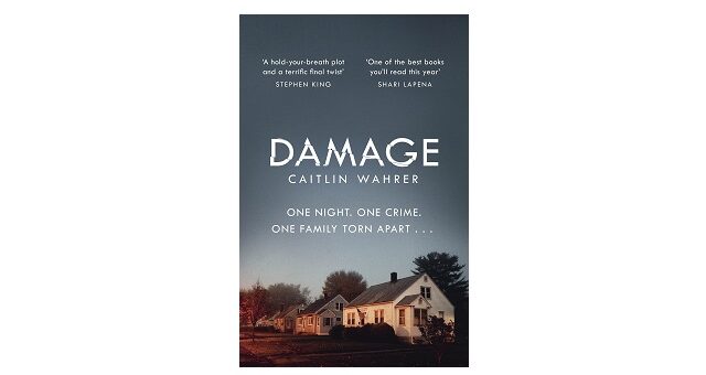 Feature image - Damage by Caitlin Wahrer