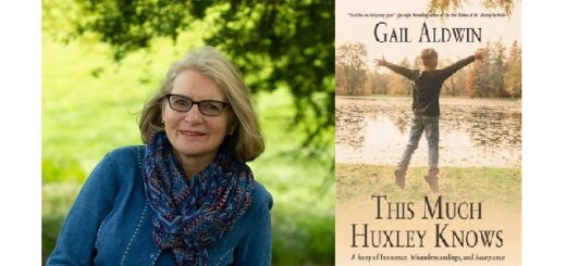 Feature Image - Gail Aldwin guest post