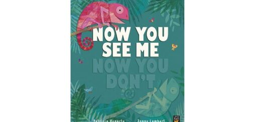 Feature Image - Now You See Me, Now You Don’t by Patricia Hegarty