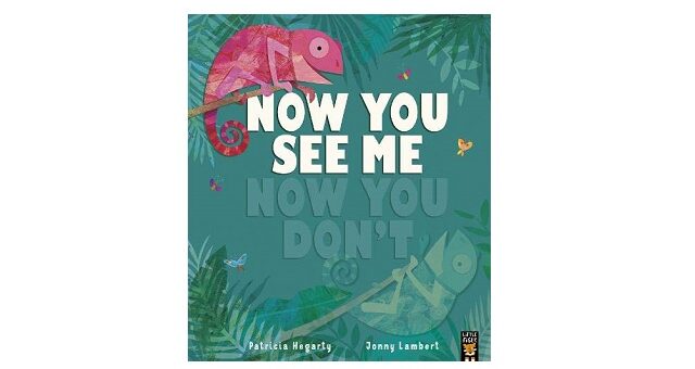 Feature Image - Now You See Me, Now You Don’t by Patricia Hegarty