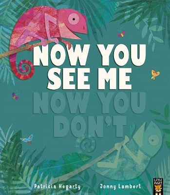 Now You See Me, Now You Don’t by Patricia Hegarty