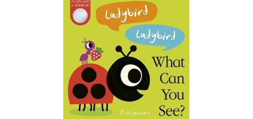 Feature Image - Ladybird Ladybird what can you see by Amelia Hepworth