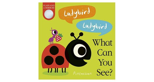 Feature Image - Ladybird Ladybird what can you see by Amelia Hepworth