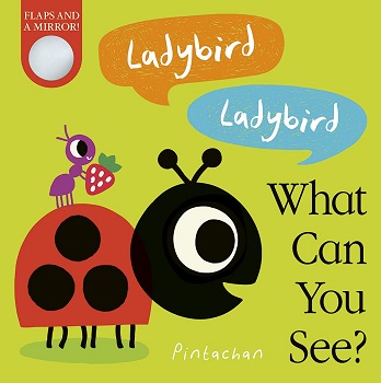 Ladybird Ladybird what can you see by Amelia Hepworth