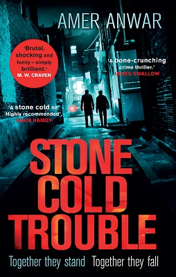 Stone Cole Trouble by Amer Anwar