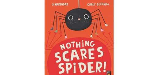 Feature Image - Nothing Scares Spider by S Marendaz