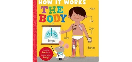 Feature Image - How It Works The Body by Amelia Hepworth