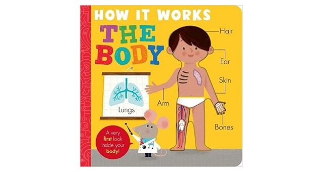 Feature Image - How It Works The Body by Amelia Hepworth