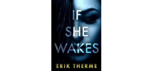 Feature Image - If she wakes by Erik Therme