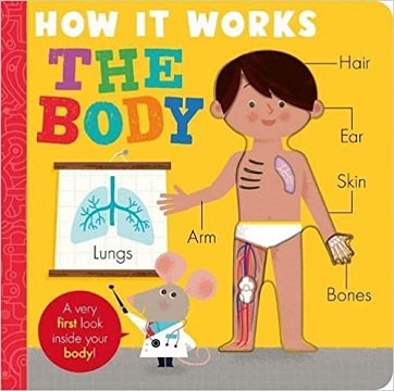 How It Works The Body by Amelia Hepworth