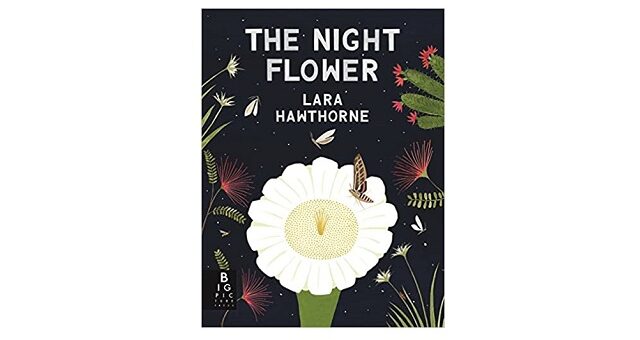 Feature Image - The Night Flower by Lara Hawthorne