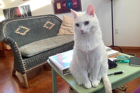 Writing Buddy, Nanuq