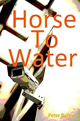 Horse to Water by Peter Bailey