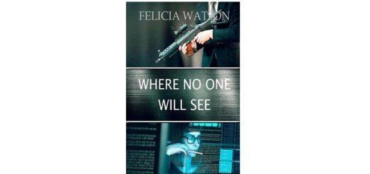 Feature Image - Where No One WIll See by Felicia Watson