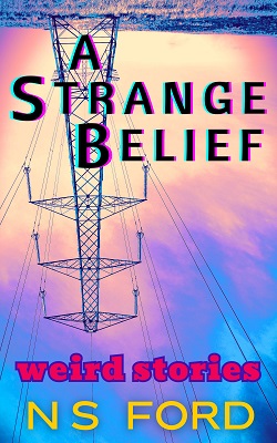 A Strange Belief by N S Ford