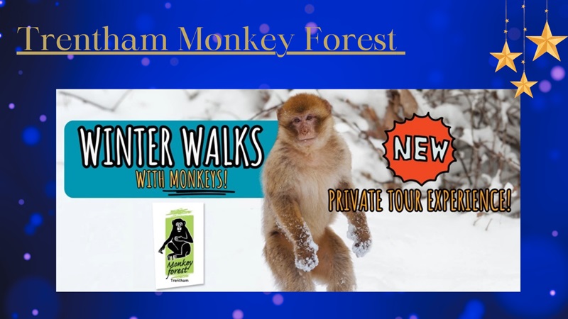 Trentham Monkey Forest new 3