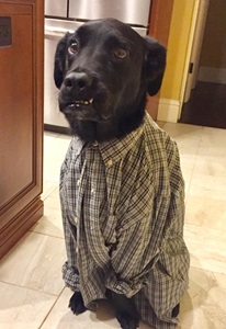 harley shirt smiling