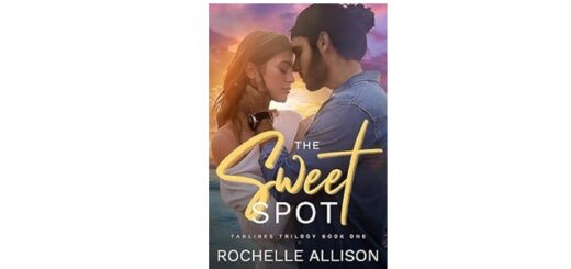 Feature Image - The Sweet Spot by Rochelle Allison