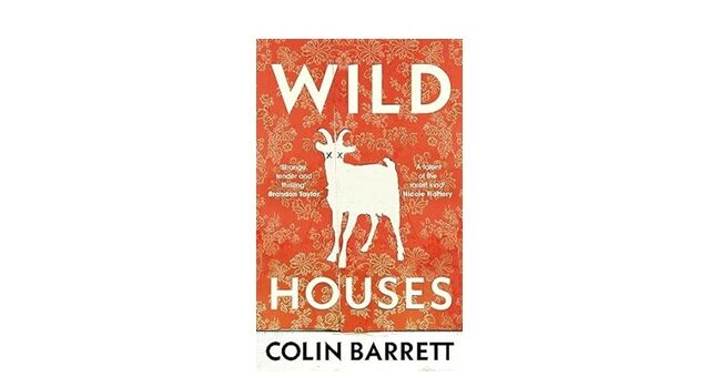 Feature Image - Wild Houses by Colin Barrett